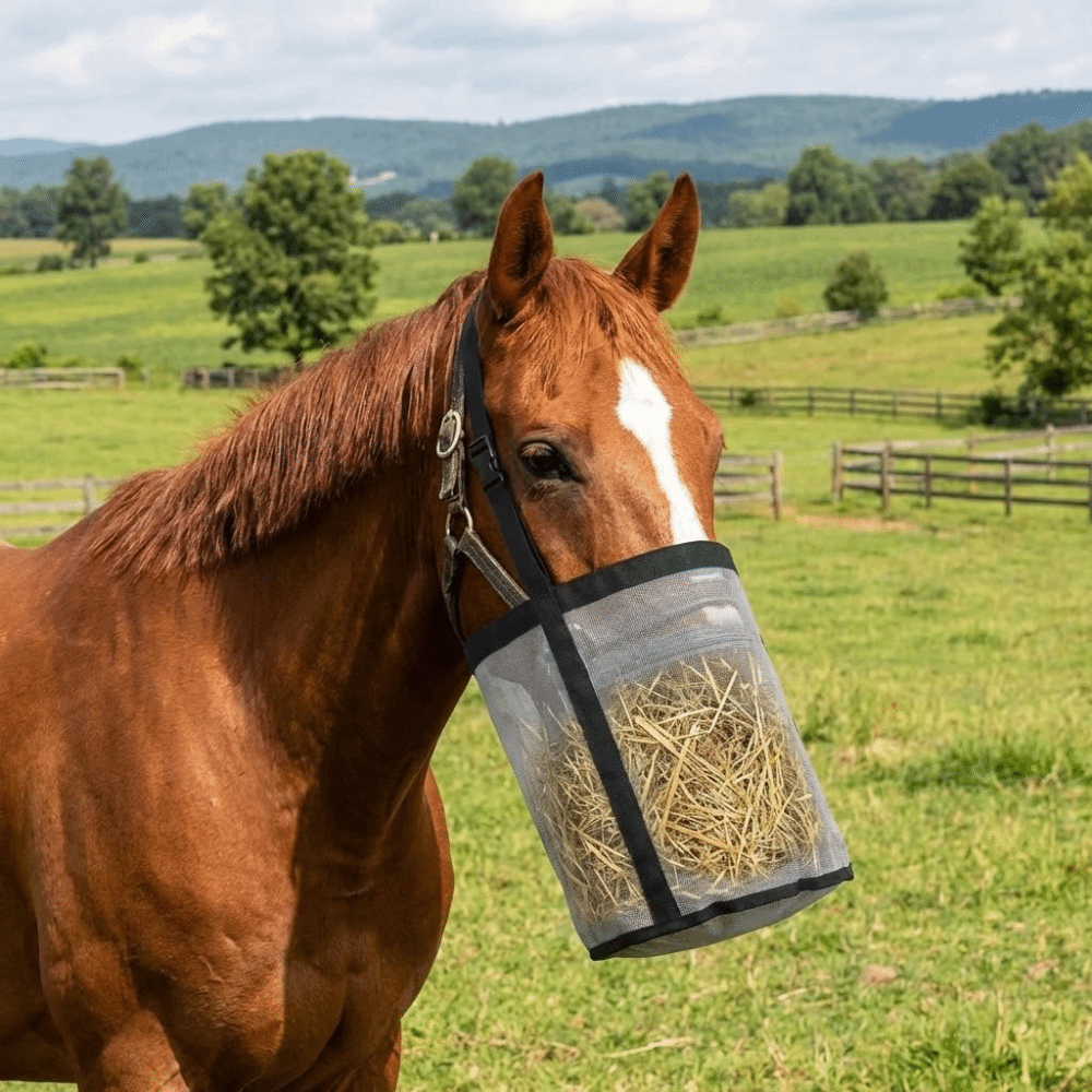 Portable Leak-Proof Horse Feed - Mesh Feeder Bag avaliação e preço