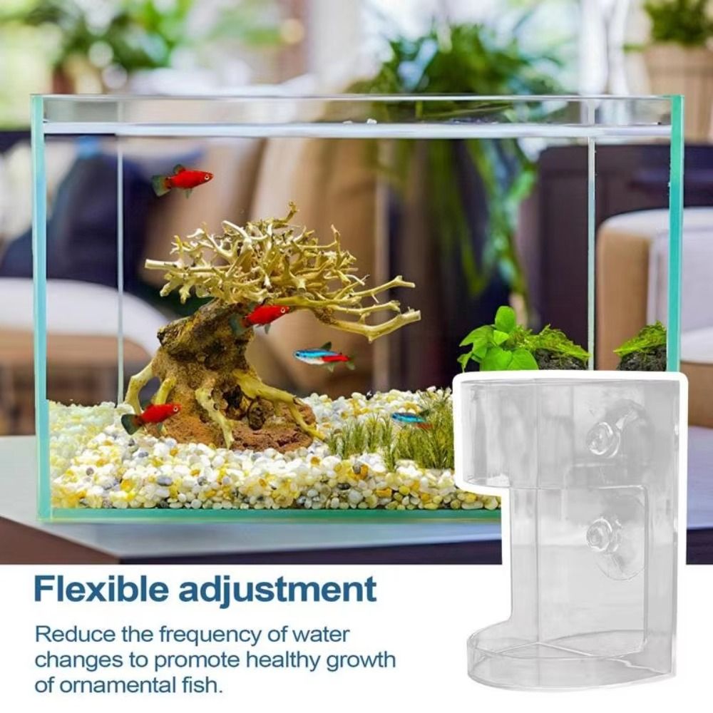 Acrylic Aquarium Feeders Ring  - Baby Food Shrimp avaliação e preço