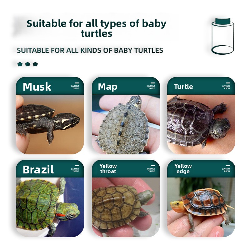 BESSN All-Stage Turtle Food wi - Baby Food Shrimp avaliação e preço