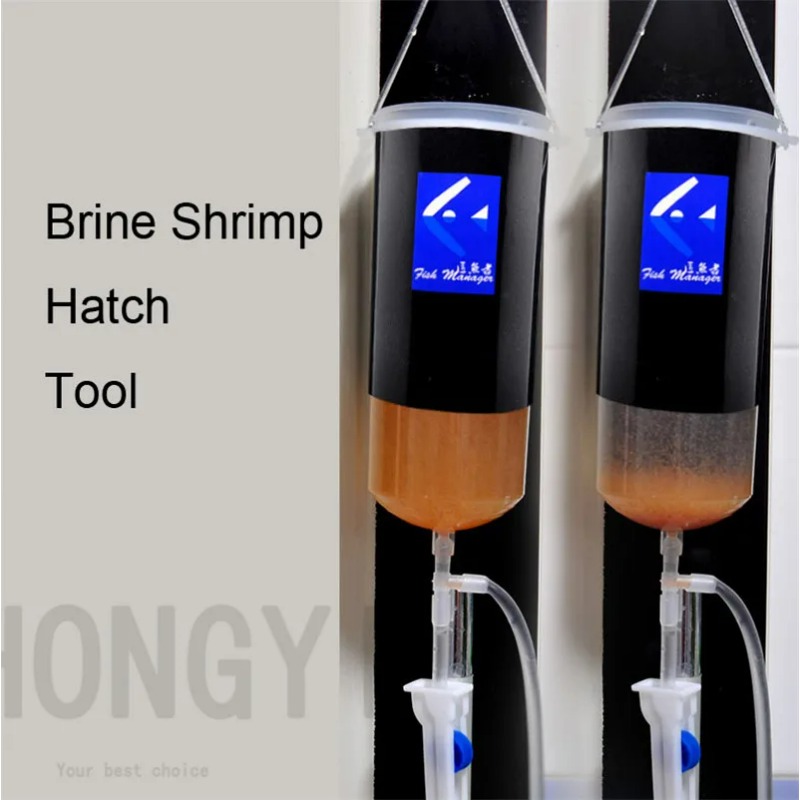 Fairy shrimp egg artemia alive - Baby Food Shrimp avaliação e preço