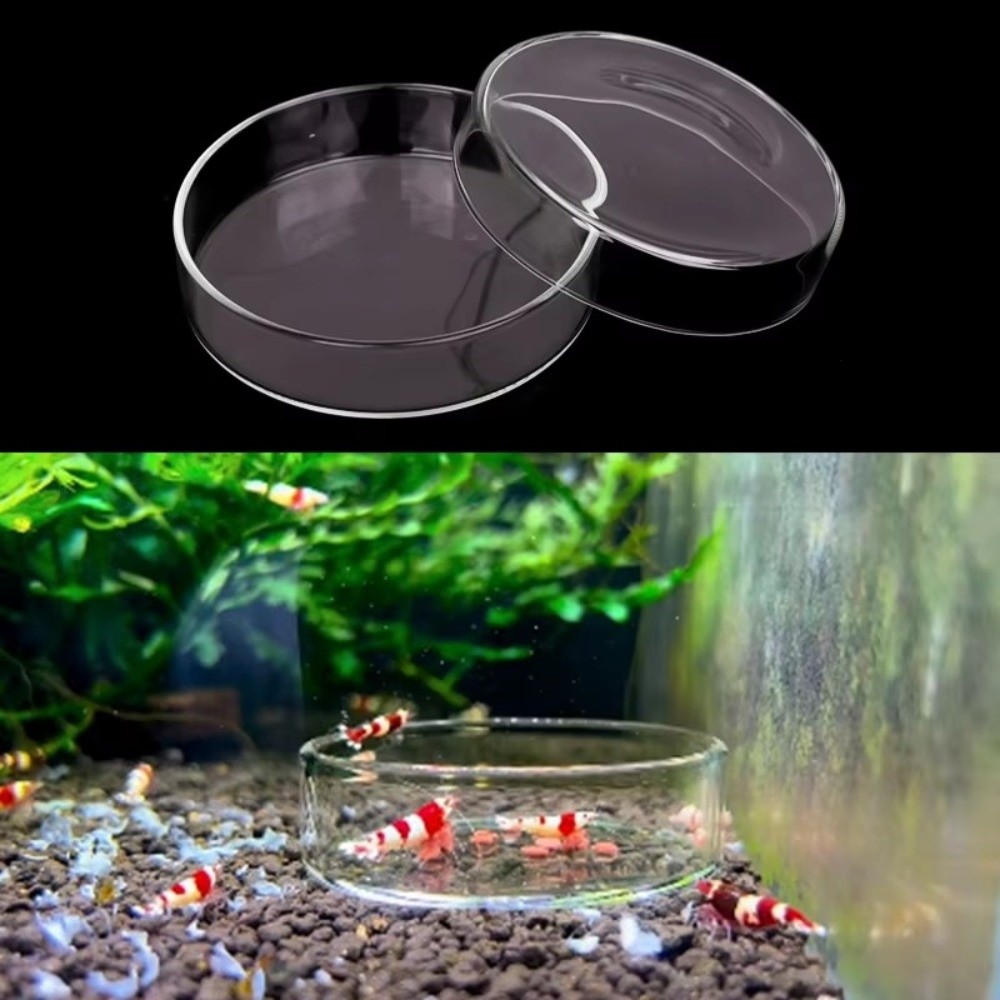 Glass Aquarium Feeding Bowl Du - Baby Food Shrimp avaliação e preço