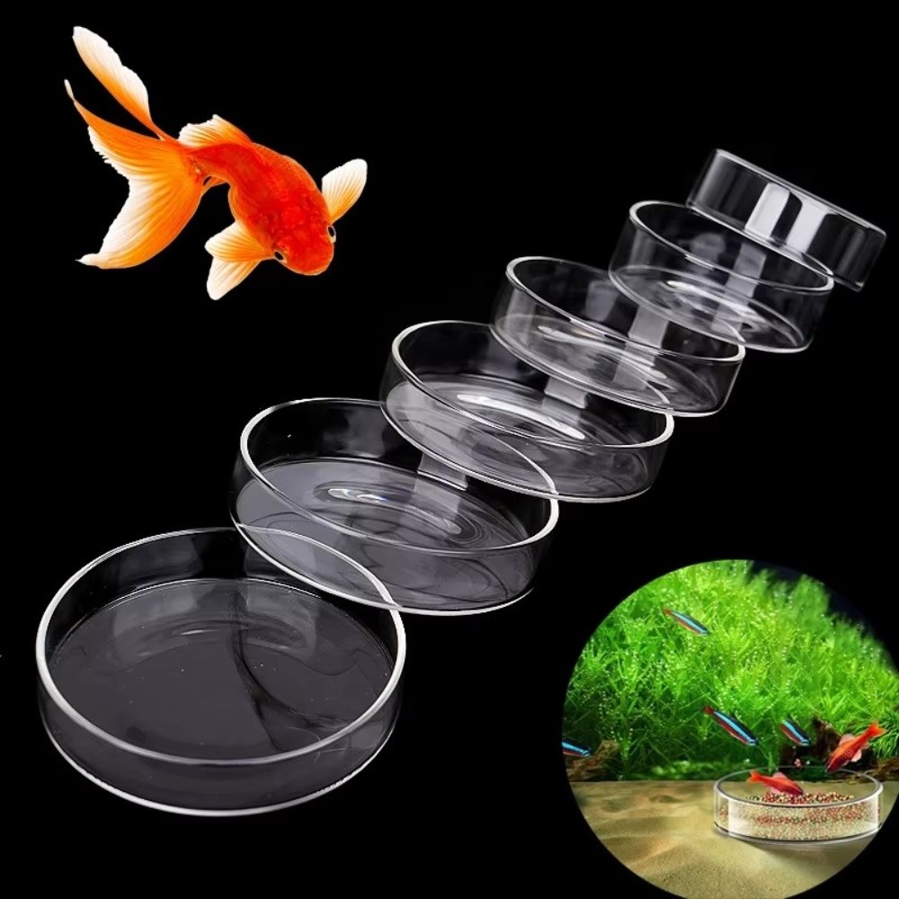 Glass Aquarium Feeding Bowl Du - Baby Food Shrimp avaliação e preço