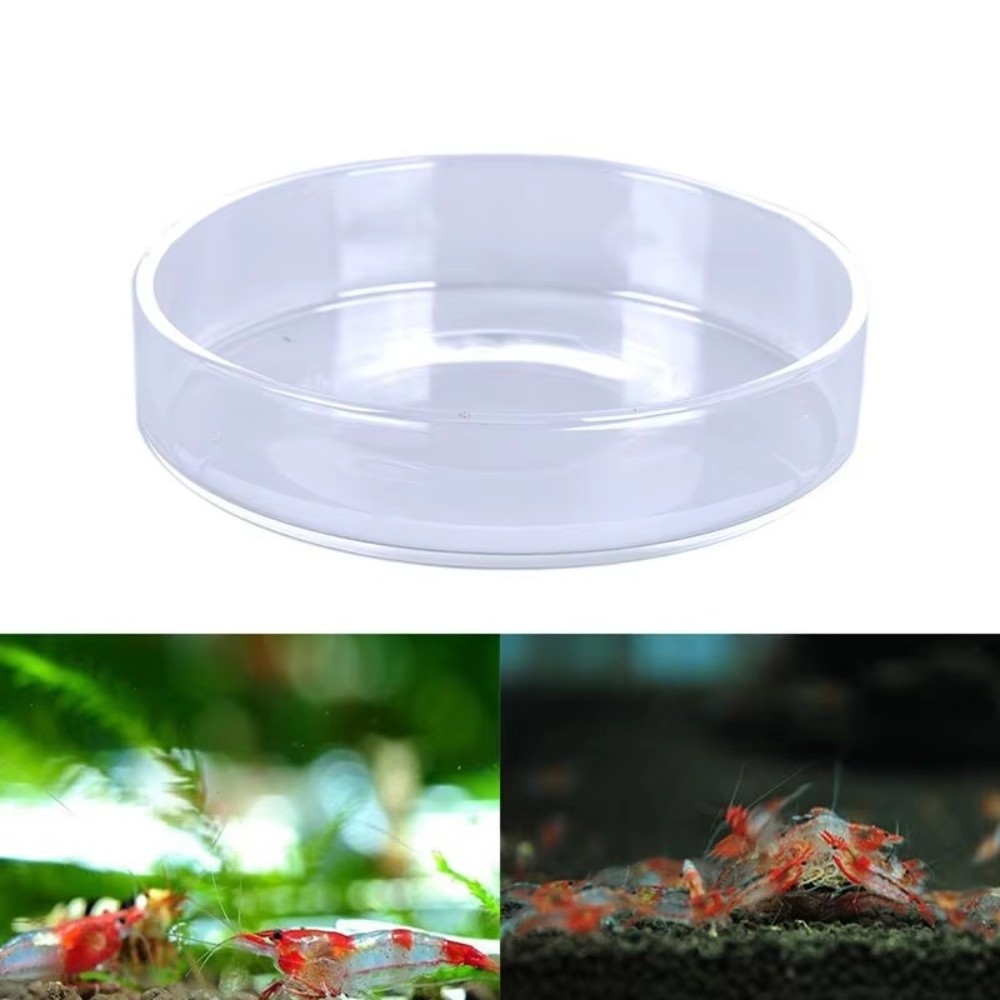 Glass Aquarium Feeding Bowl Du - Baby Food Shrimp avaliação e preço