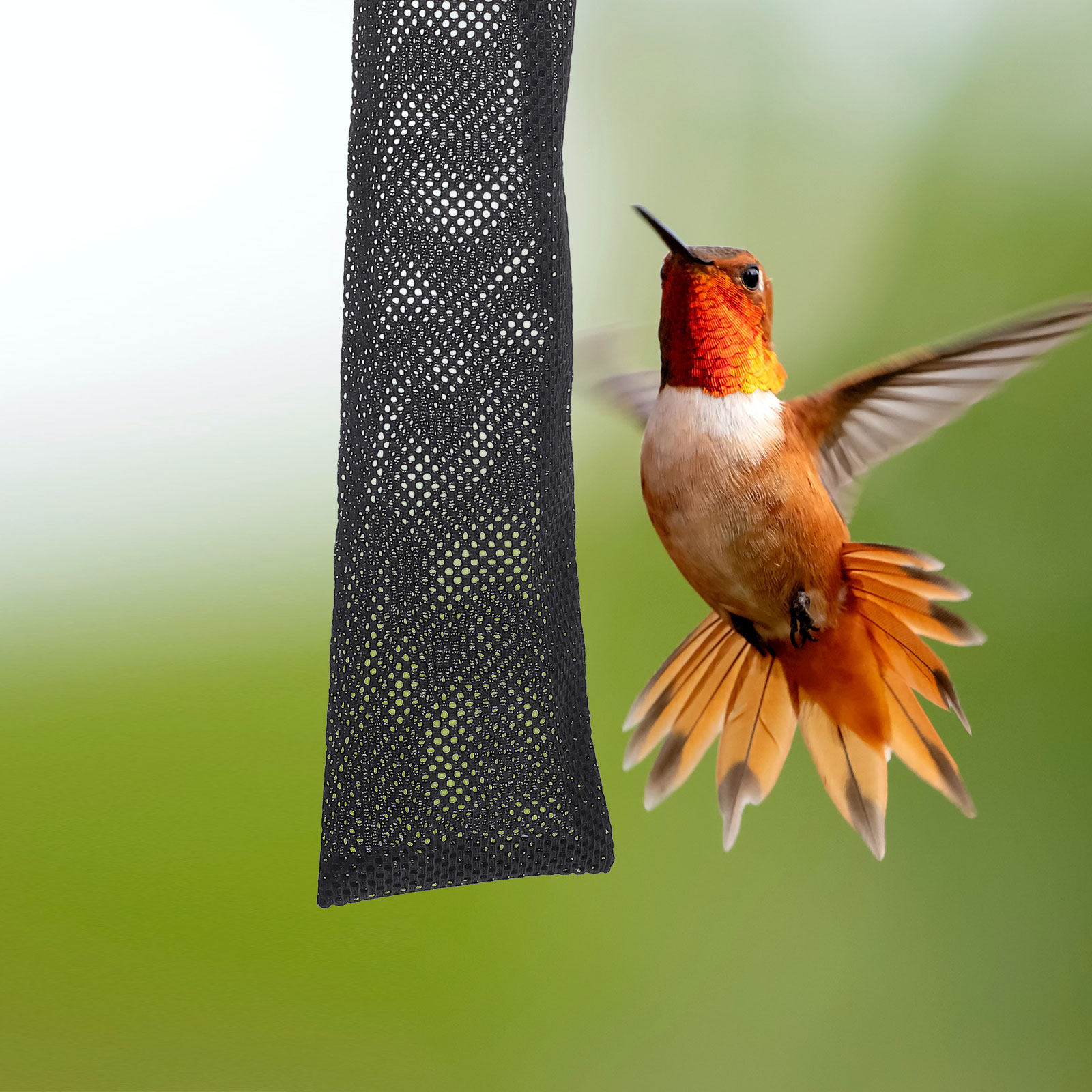 6Pcs Nylon Bird Feeding Bags D - Mesh Feeder Bag avaliação e preço