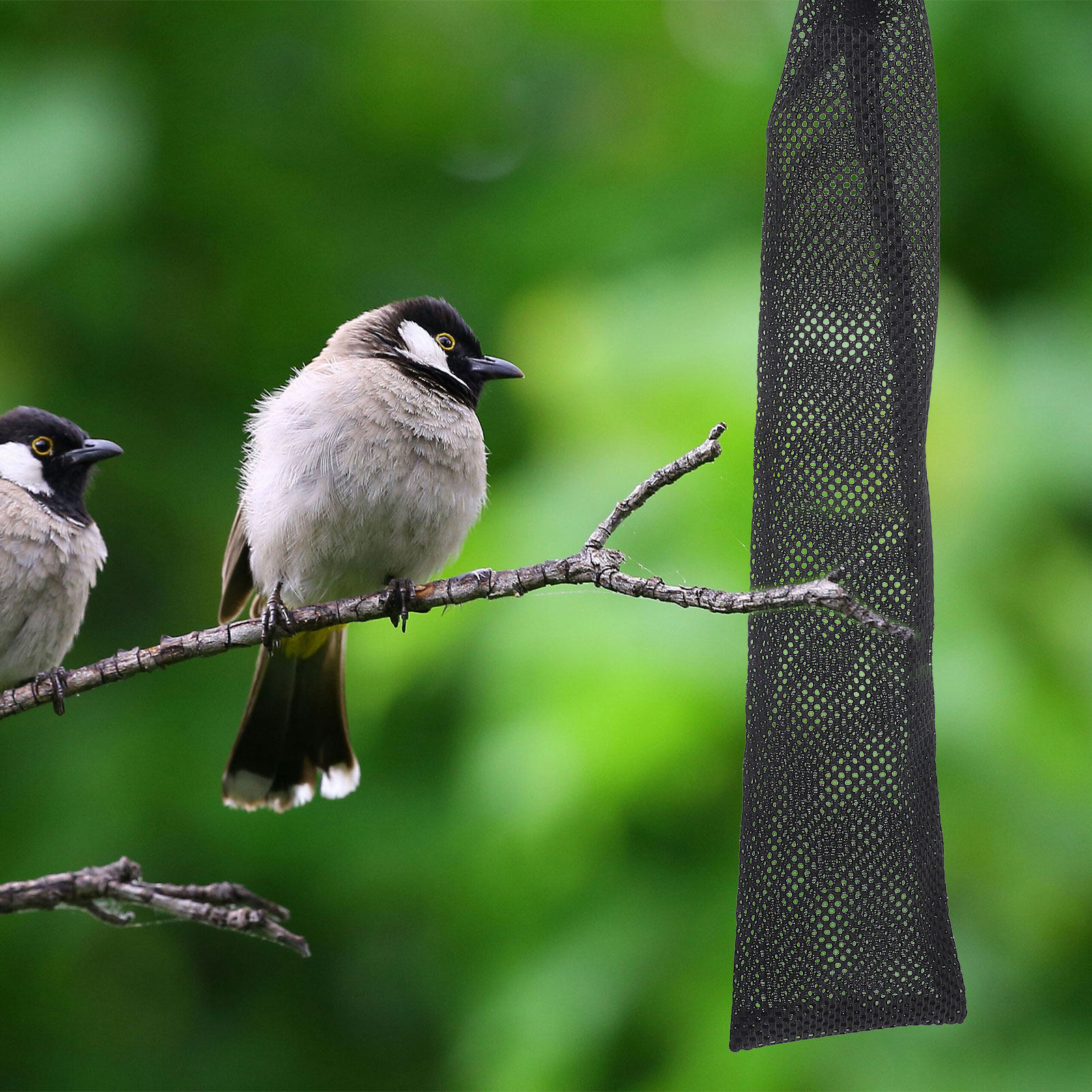 6Pcs Nylon Bird Feeding Bags D - Mesh Feeder Bag avaliação e preço